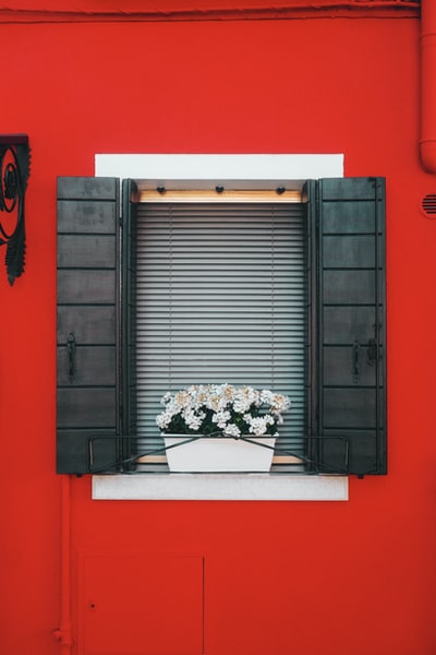 黑色木制窗框与白色和红色的花朵
